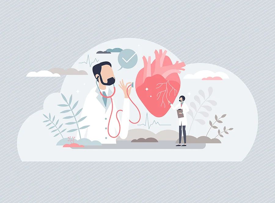 A vector illustration of two doctors studying a human heart diagram.